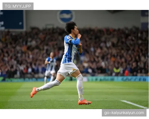 回顾：从濒临降级到冲击欧战，布莱顿的又一个成功赛季